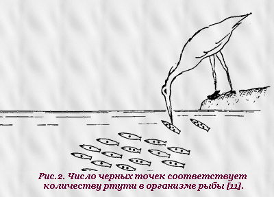 Рис.2. Число черных точек соответствует количеству ртути в организме рыбы [11].